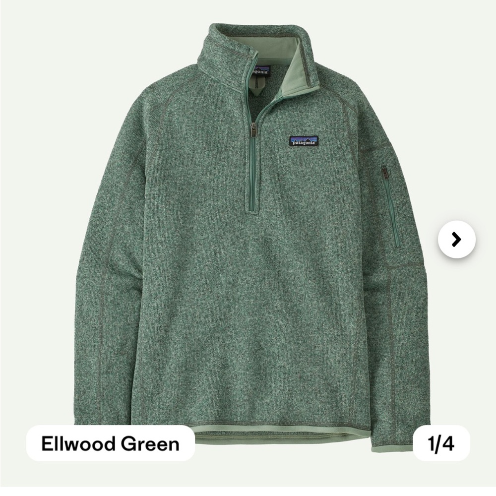 Patagonia Women's Green Better Sweater
